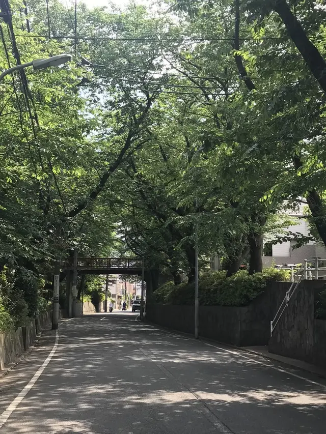 桜坂