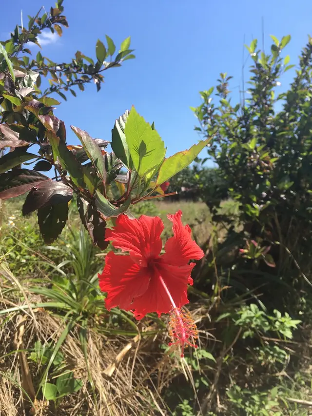 宮古島東急リゾート