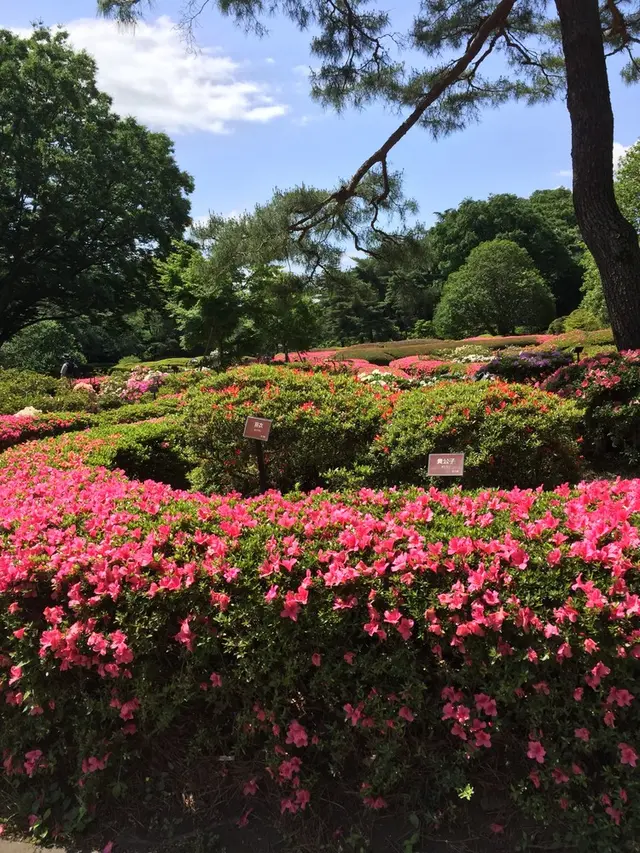 神代植物公園