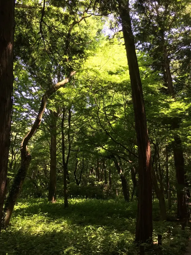 神代植物公園