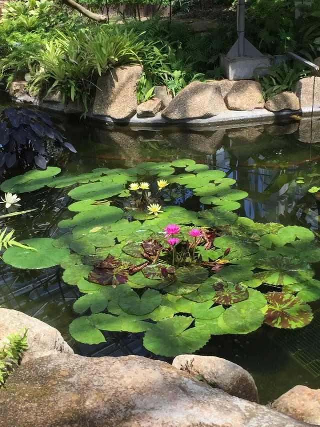 神代植物公園