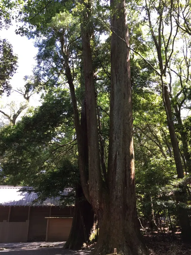 伊勢神宮内宮（皇大神宮）