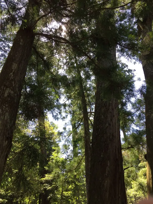 伊勢神宮内宮（皇大神宮）