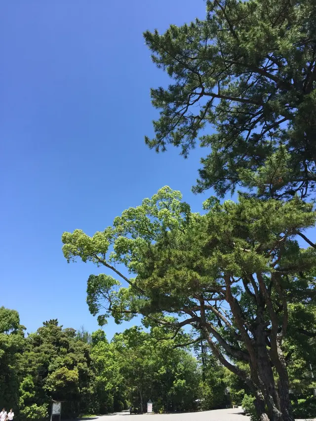 伊勢神宮外宮（豊受大神宮）
