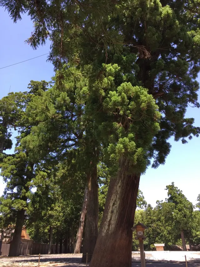 伊勢神宮外宮（豊受大神宮）