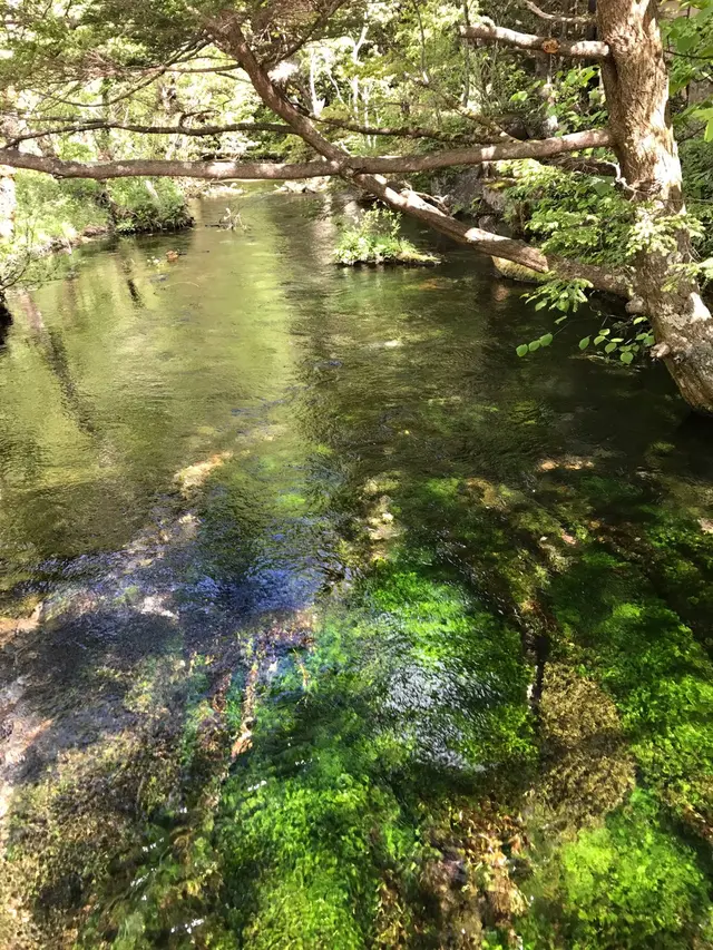 上高地