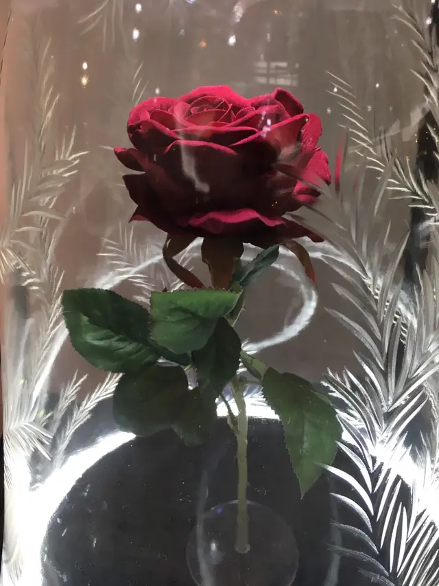 こうのすシネマ