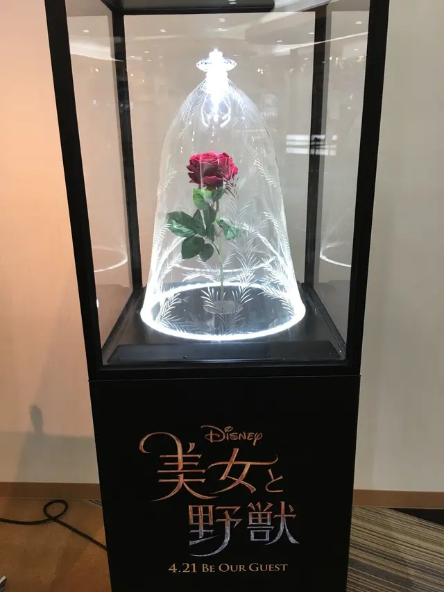 こうのすシネマ