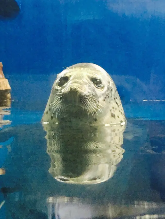 のとじま水族館　