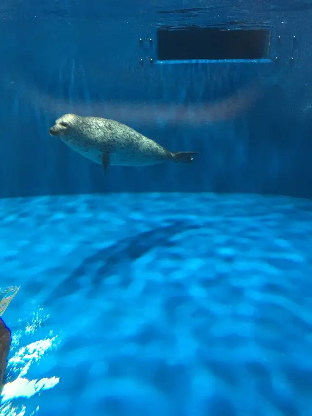 のとじま水族館　