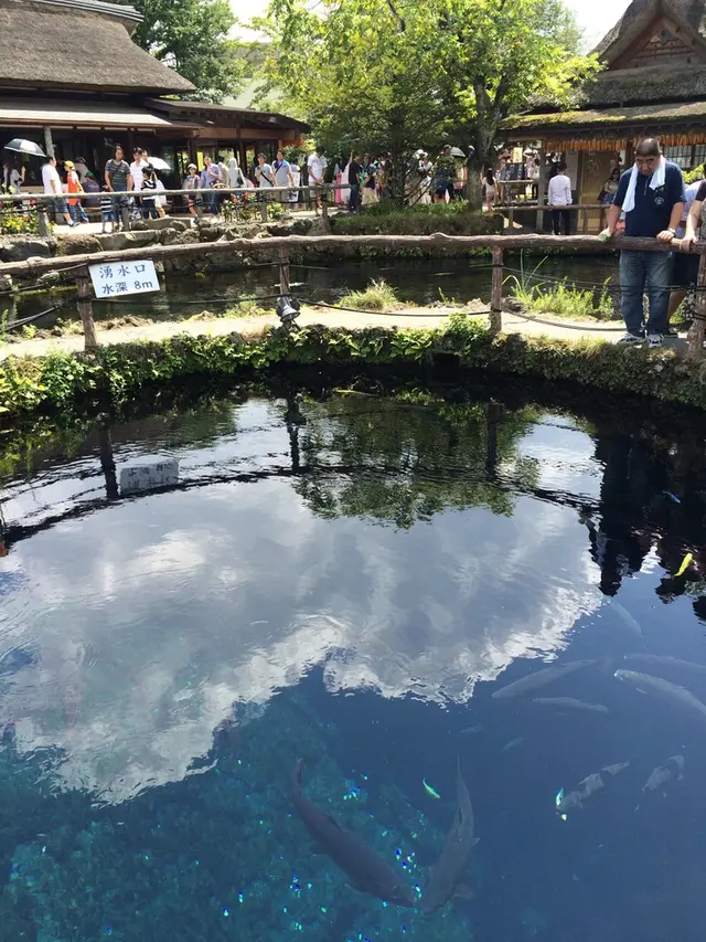忍野八海