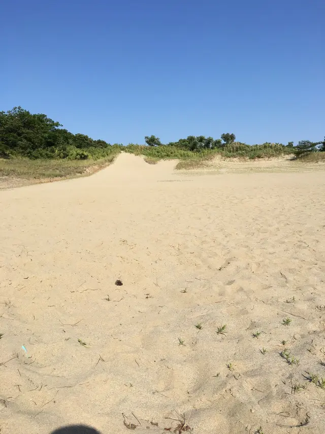国営木曽三川公園ワイルドネイチャープラザ
