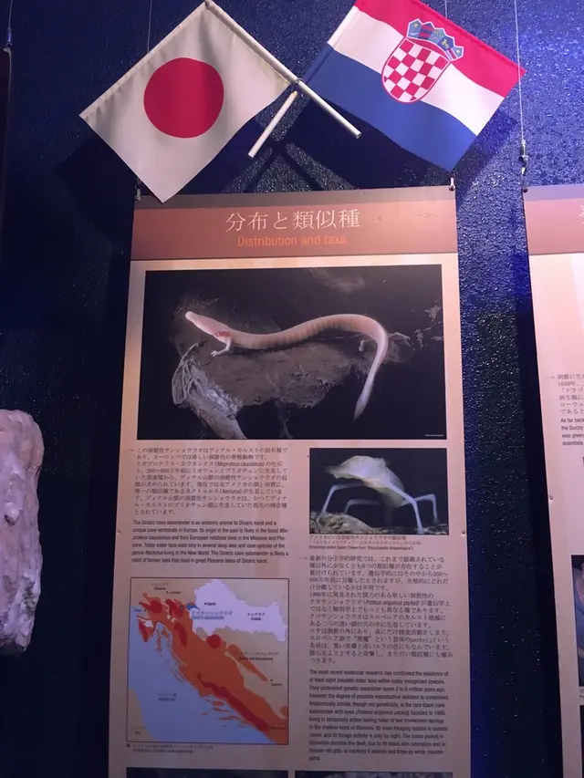 碧南市青少年海の科学館・碧南海浜水族館