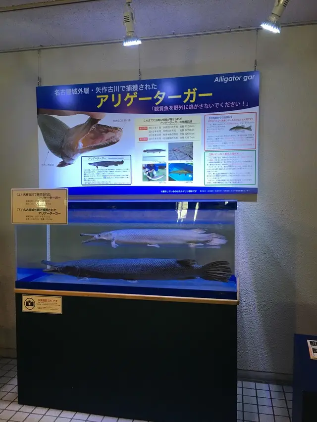 碧南市青少年海の科学館・碧南海浜水族館