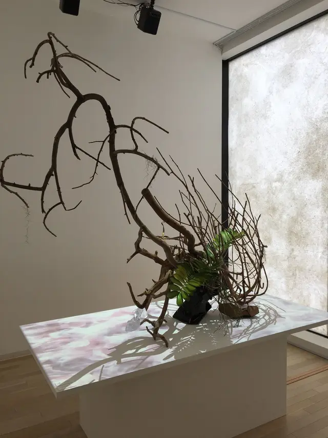 GYRE（ジャイル） 表参道