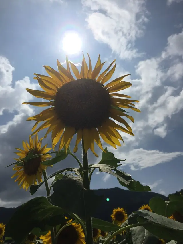 もみじ平キャンプ場