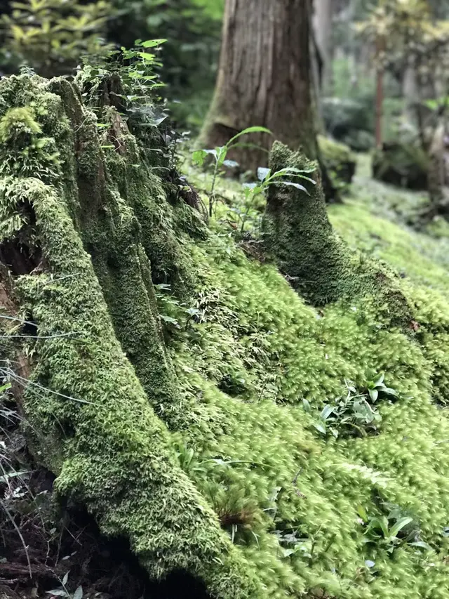 御岩神社
