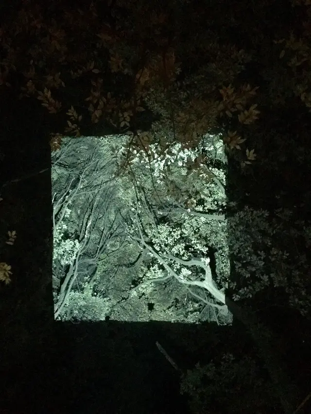 御船山楽園