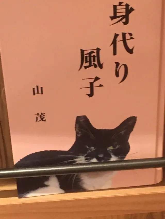 猫カフェ MoCHA（モカ）秋葉原店