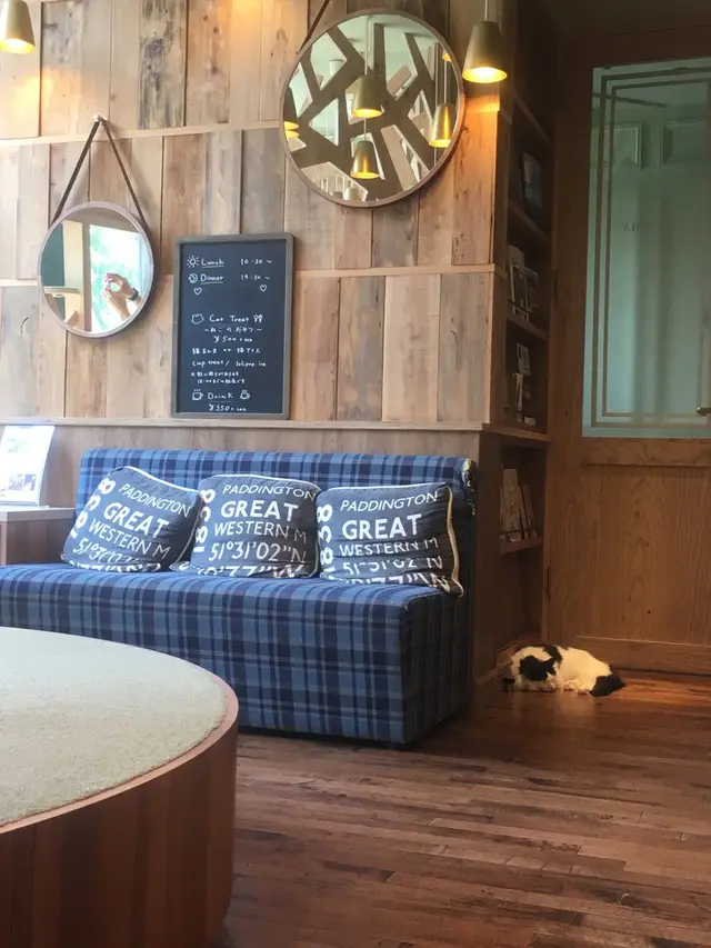 猫カフェ MoCHA（モカ）秋葉原店