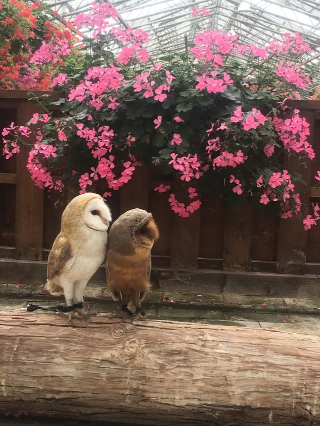 松江フォーゲルパーク