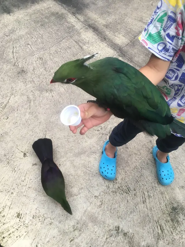 松江フォーゲルパーク