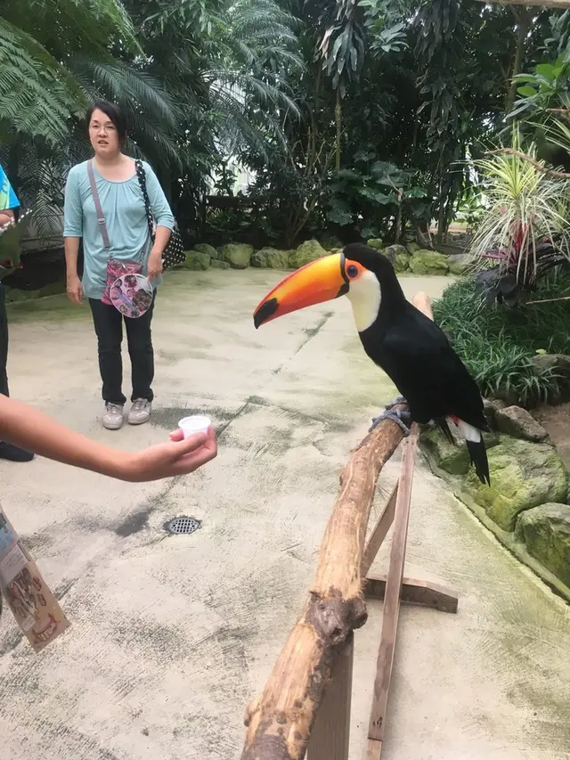 松江フォーゲルパーク