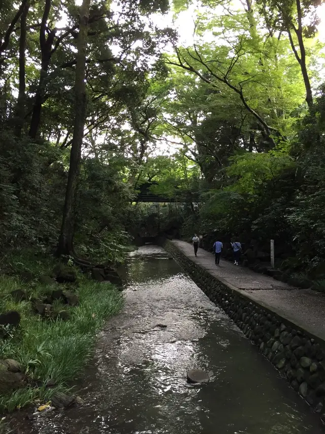 等々力渓谷