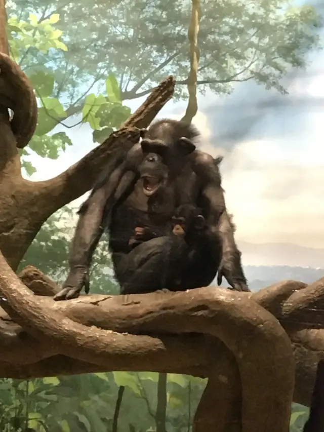 よこはま動物園ズーラシア