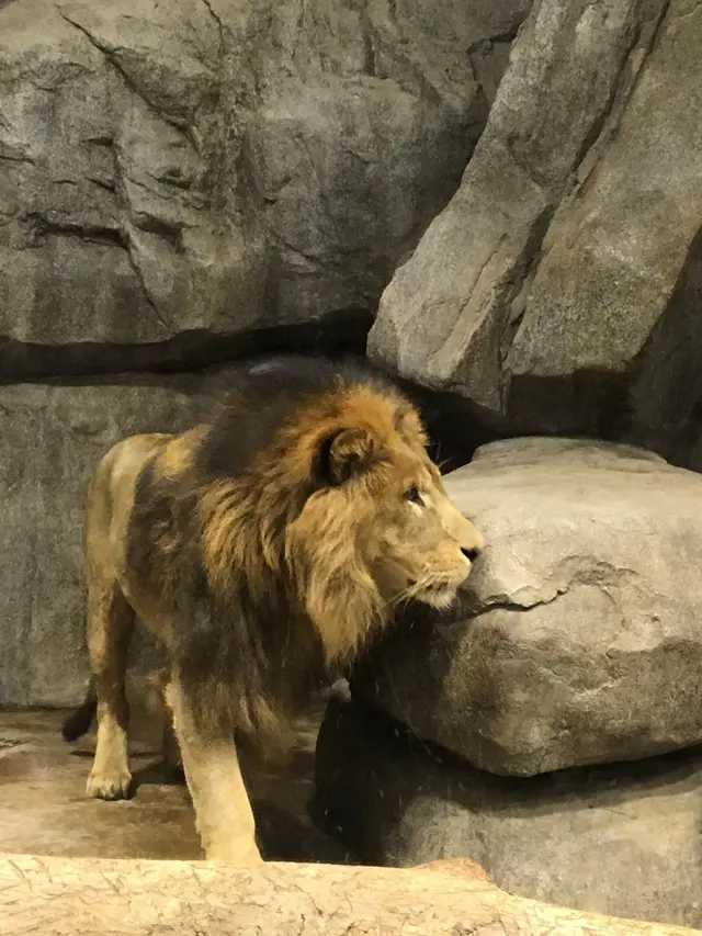 よこはま動物園ズーラシア