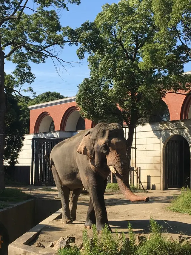 よこはま動物園ズーラシア