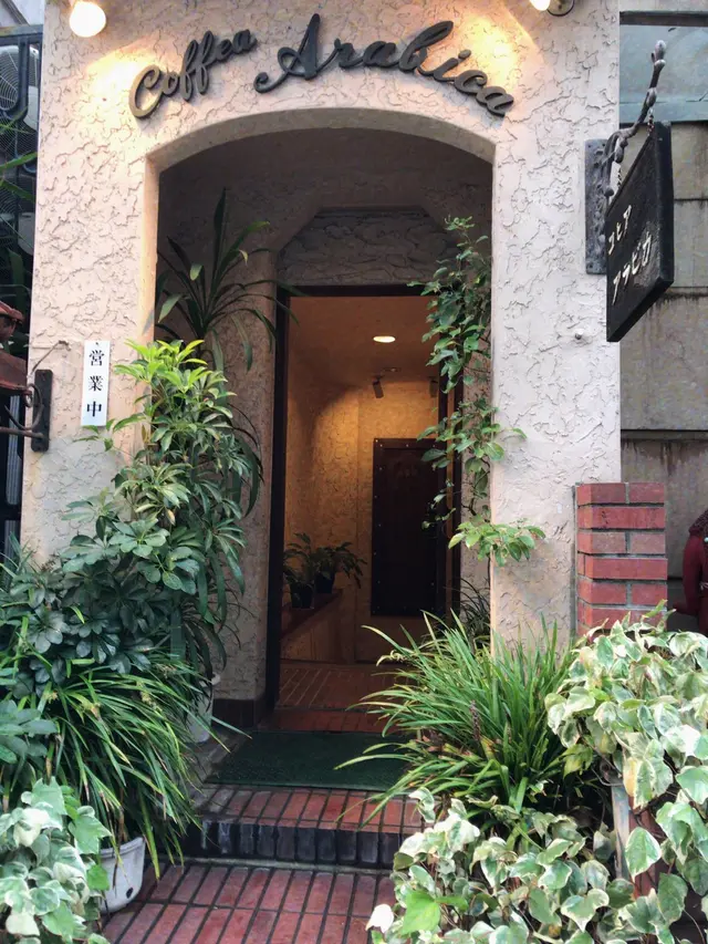 コヒア アラビカ