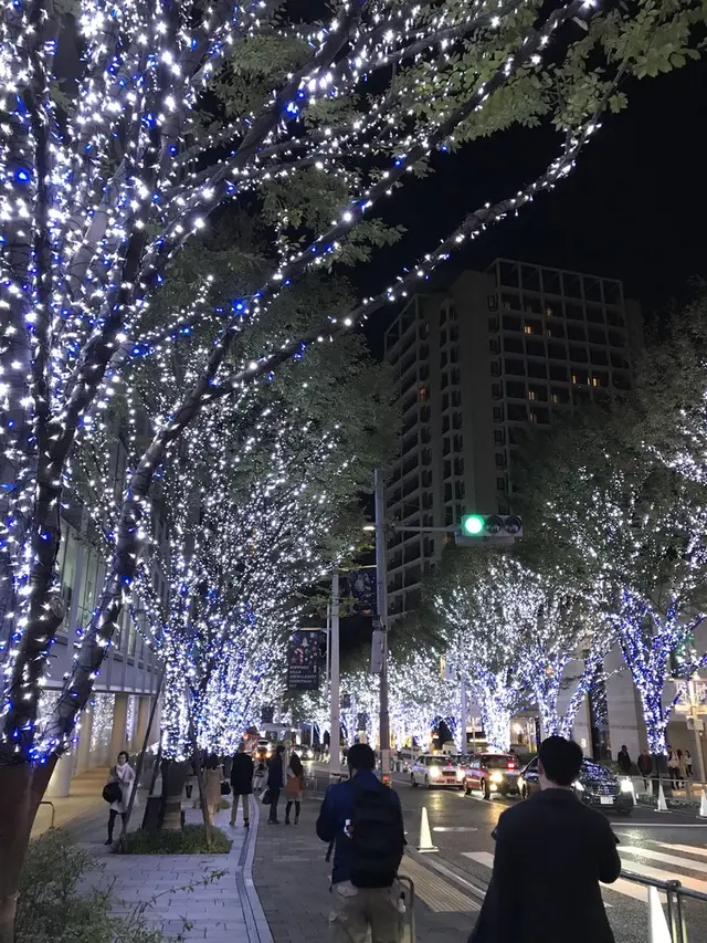 六本木けやき坂通り