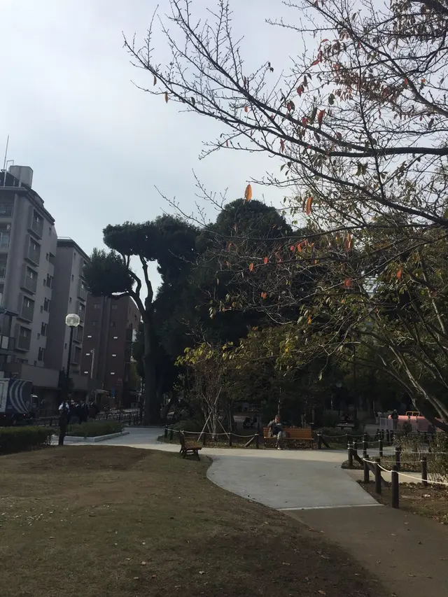 若林公園