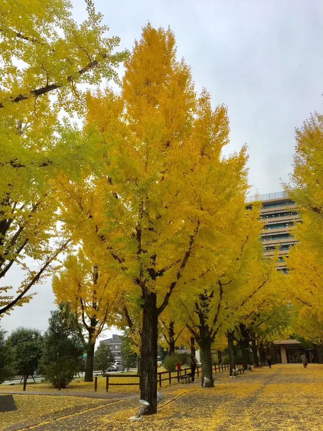 熊本県
