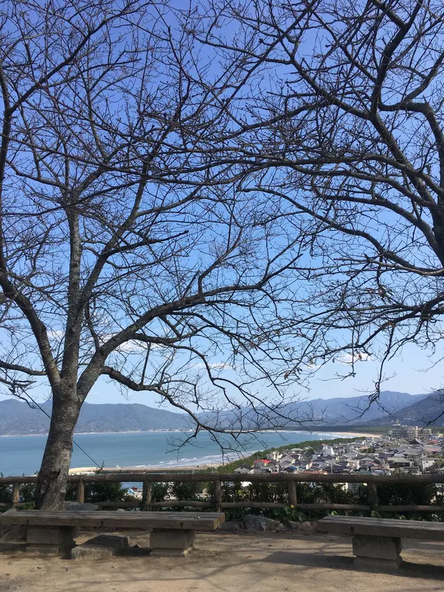 唐津城