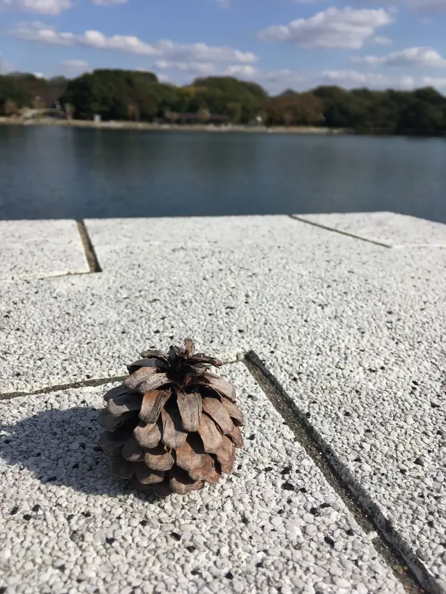 大濠公園