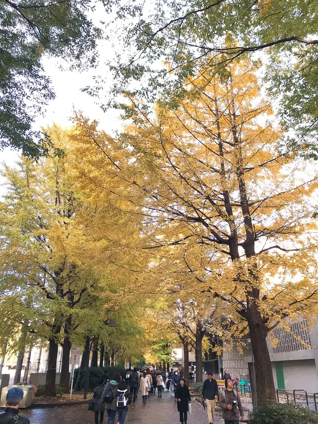 上野東照宮