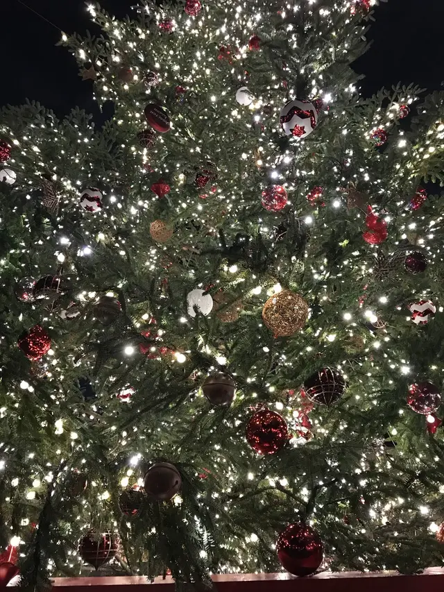 恵比寿ガーデンプレイス