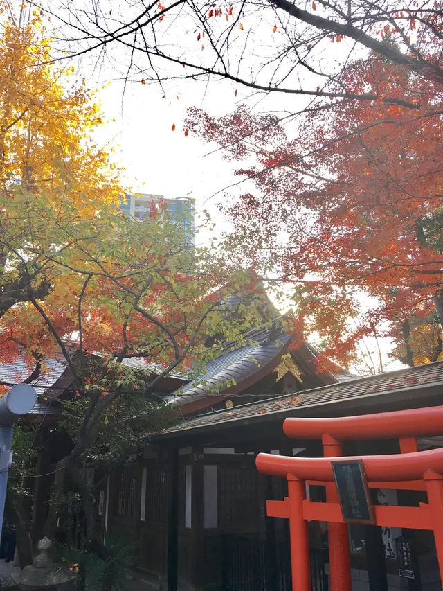 愛宕神社