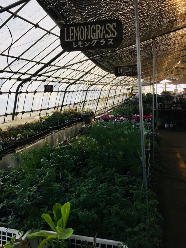 九十九里ハーブガーデン