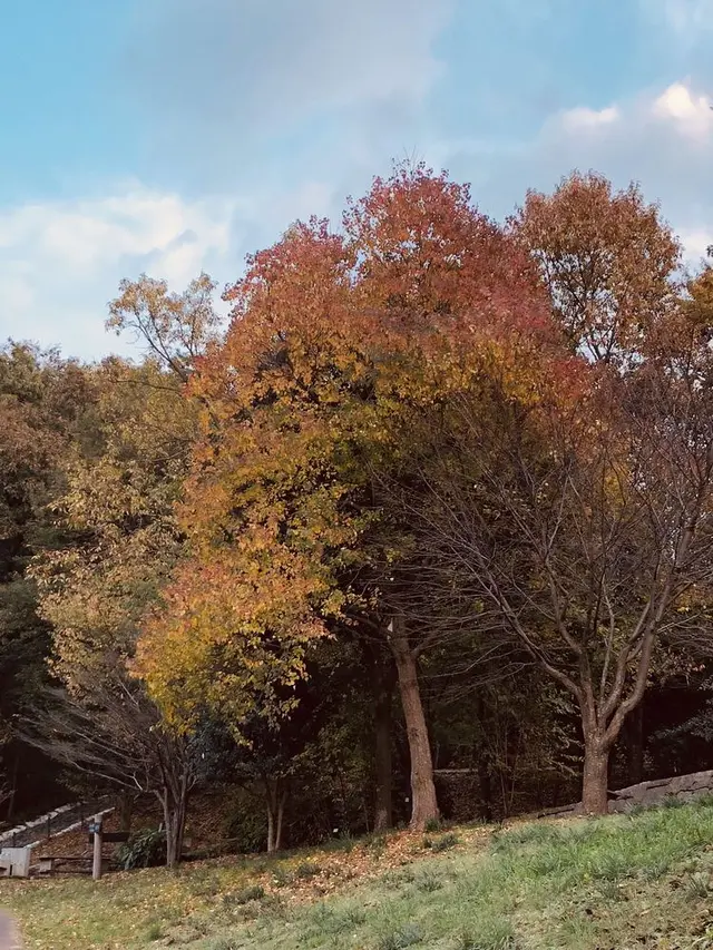 県立座間谷戸山公園