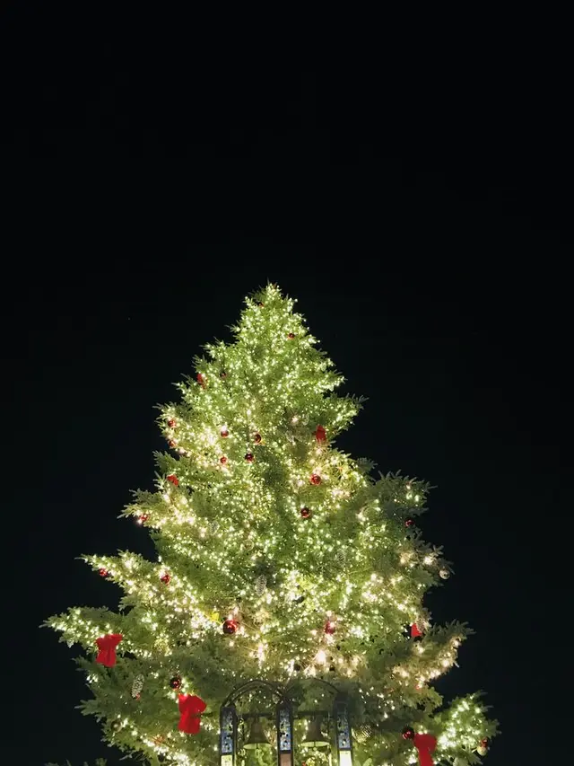 横浜赤レンガ倉庫