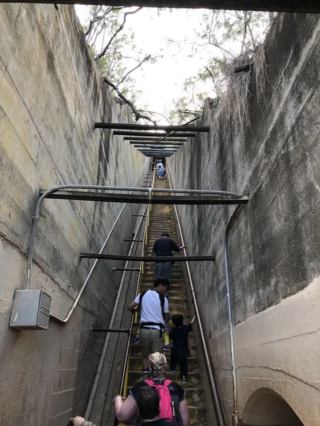 Diamond head（ダイヤモンド・ヘッド）