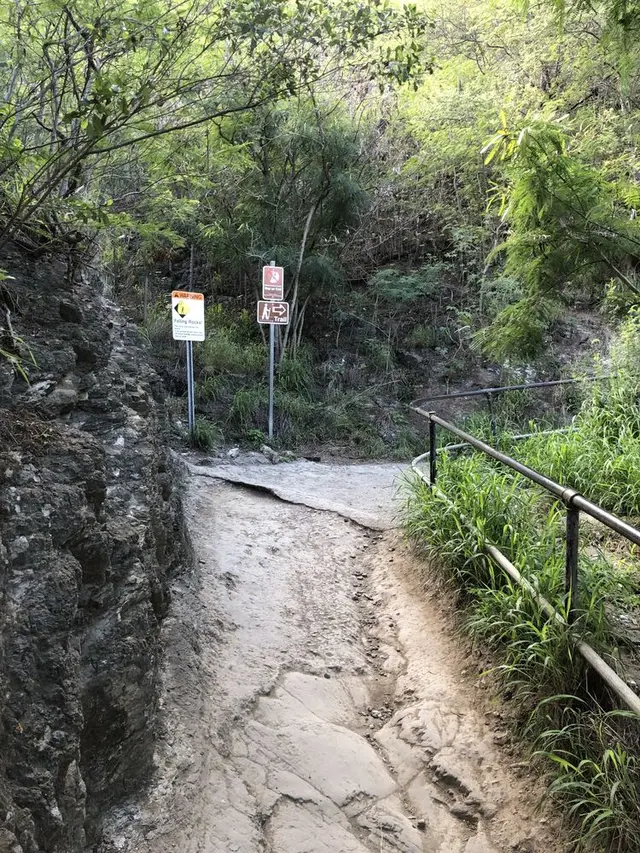 Diamond head（ダイヤモンド・ヘッド）