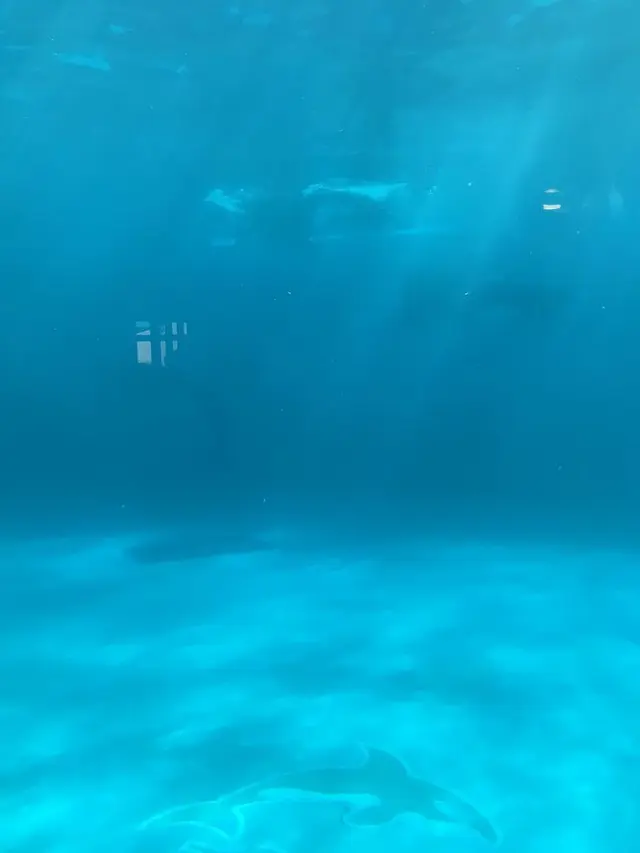 鴨川シーワールド