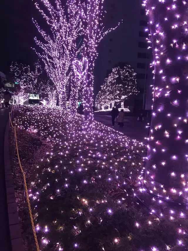 サザンライツ 新宿サザンテラス