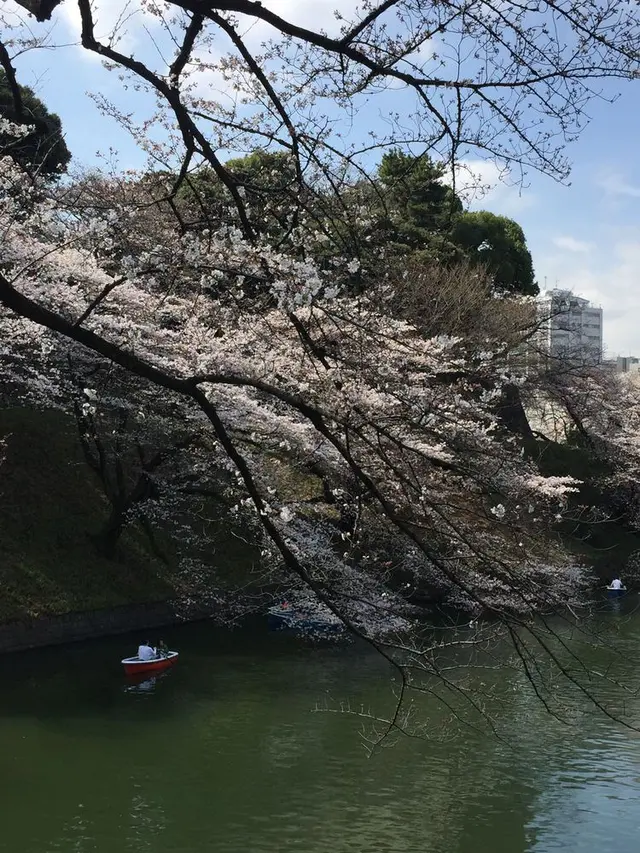 千鳥ヶ淵緑道