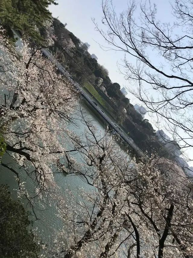 北の丸公園