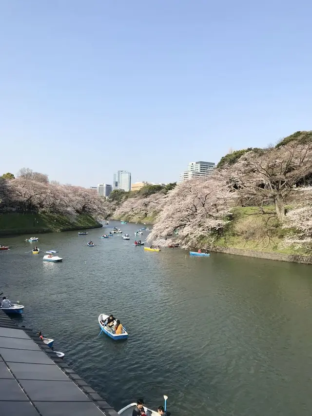 千鳥ヶ淵